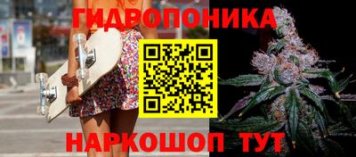 гашик Аргун