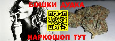 гашик Аргун