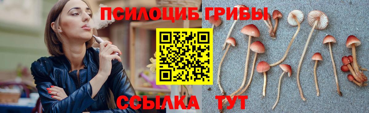 Псилоцибиновые грибы мухоморы Борзя